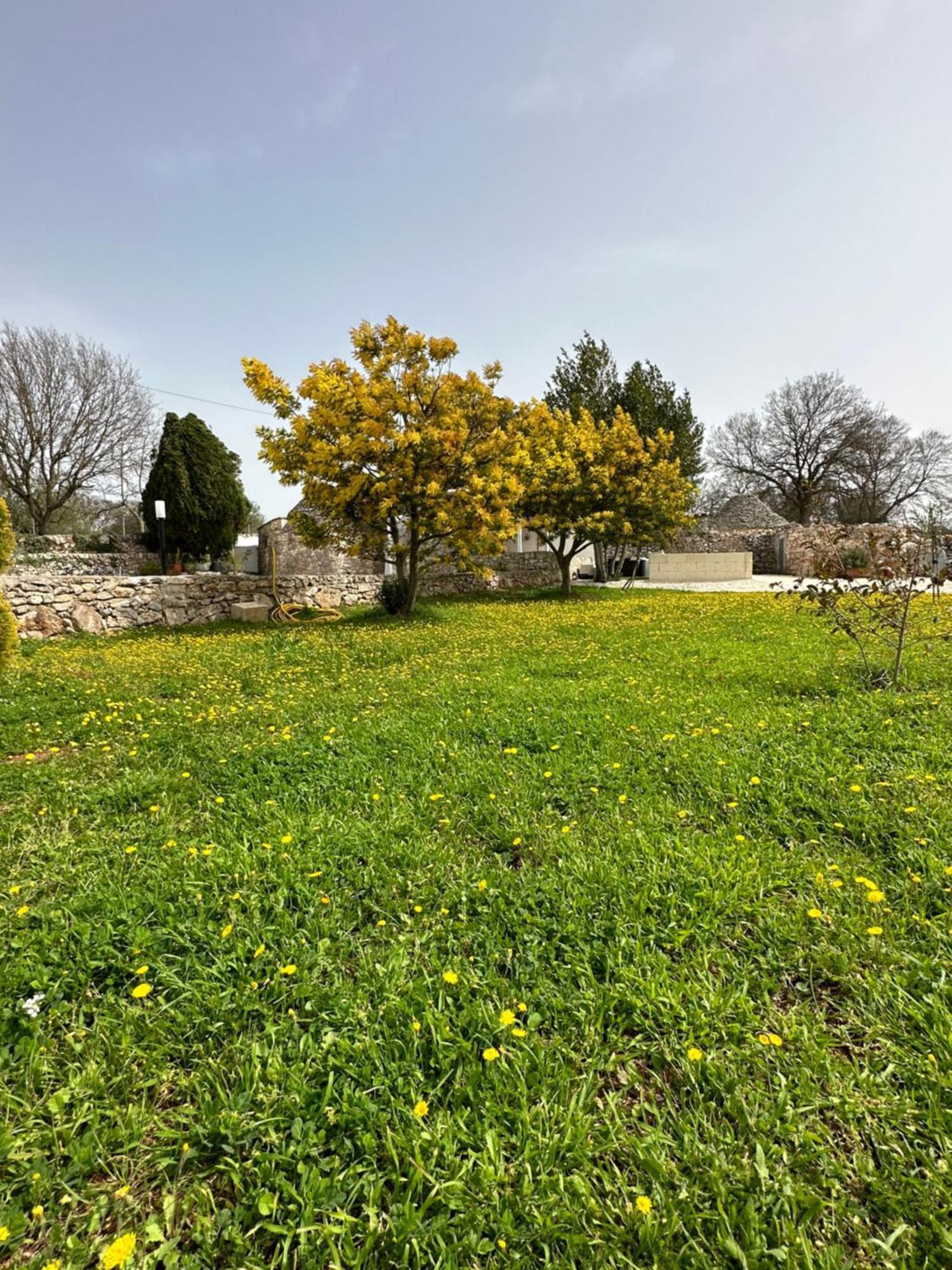 Vila Trulli In Contrada Noci Exteriér fotografie